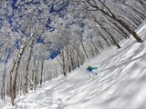長野・白馬のスキー場がオープン間近…栂池高原、白馬乗鞍温泉、白馬コルチナ 画像