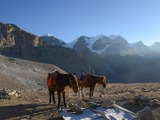 憧れのネパール、ヒマラヤ山脈での乗馬 画像