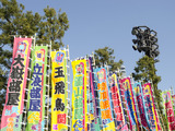 琴奨菊の優勝祝賀パレード、松戸市で2月21日に開催 画像