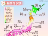 桜が来週から開花…Yahoo!地図アプリ、桜アイコンを表示開始 画像