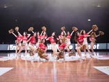 バスケット・大阪エヴェッサを応援するダンスチーム「bt」メンバーオーディション開催 画像