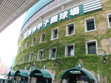 【高校野球2017夏】仙台育英が劇的サヨナラ、殊勲打の馬目郁也「頭が真っ白」 画像