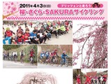 宇都宮ブリッツェン桜サイクリング参加者募集中 画像