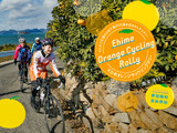 愛媛のかんきつ産地を周遊する「えひめオレンジサイクリング」開催 画像