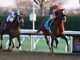 【競馬】米年度代表馬「エクリプス賞」にKダービー＆BCクラシックVのオーセンティック 画像