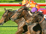 【競馬】レイパパレはどこまで強いのか、宝塚記念で牡牝三冠馬との対決が実現 画像