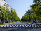 大阪・御堂筋の社会実験に自転車通行空間が登場 画像