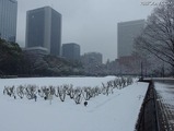 首都圏の帰宅の足、早くも影響……15日にかけて大雪 画像
