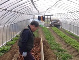 【食と農業を考える】冬から始める夏野菜のための温床作り 画像