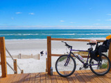 【自転車のある風景】子供の自転車利用、高い理解度　アデレード 画像