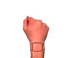 Apple Watchの雰囲気を楽しむタトゥー！着けてる気分になれる？…米ニューヨーク発 画像