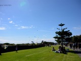 【レポート】オーストラリアで200以上の凧がなびいた 画像