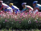 ツール・ド・フランスで大活躍のブリオシュチーム来日 画像