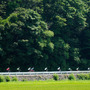 ヤフー自転車同好会の有志がツール・ド・東北のコースを試走（2015年8月1～2日）