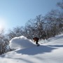 星野リゾート トマムがゲレンデリニューアル…新コース誕生、人工降雪機導入