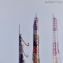 「ひまわり8号」を搭載したH-IIAロケット25号機（MHI/JAXA）