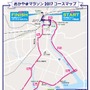 有森裕子が監修したコースを走る「おかやまマラソン」11月開催