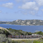 【山口和幸の茶輪記】ジロ・デ・イタリアは100回記念大会…地中海のサルデーニャ島で開幕