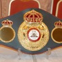 WBA世界ミドル級王座決定戦 調印式・記者会見（2017年5月18日）