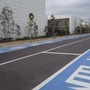 自転車専用通行帯は白い文字で「自転車専用」とペイントされている