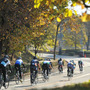 公道を封鎖して行う自転車耐久レース「温泉ライダー in 喜連川温泉」開催