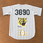 阪神タイガース、虎の保護活動を開始…コラボグッズをクラウドファンディングで販売