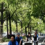 　自転車専用道路の必要性を訴えるイベント「第2回御堂筋サイクルピクニック」が4月7日に大阪市の大阪市役所を発着地として開催される。2011年10月に開催された同イベントは、雨天の予報だったにもかかわらず快晴となり200人がイベントに参加して自転車専用道路の必要性