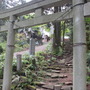 加波山神社の拝殿直下にある鳥居。神様の住む敷地の隅っこを、ちょっとだけお借りしてランチタイムに突入。