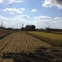 【礒崎遼太郎の農輪考】新米の季節、自然農法のお米が教えてくれること