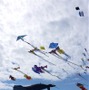 Kiteフェスティバル