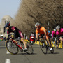 　2008年2月11日（月/建国記念の日）に東京の明治神宮外苑で開催される「2007年度全日本学生ロードレースシリーズ最終戦　第2回明治神宮外苑学生自転車クリテリウム大会」（主催：日本学生自転車競技連盟）の参加選手募集が始まった。07年2月に東京都心発のクリテリウム