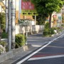 電柱や街路樹などで遮られ、ドライバーから見えにくい