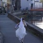 篠田麻里子／『リアル鬼ごっこ』　-(C) 2015「リアル鬼ごっこ」フィルムコミッティ