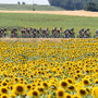 2015年ツール・ド・フランス第13ステージ