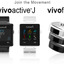 ガーミン、初のスマートウォッチ vivoactive を発売 画像