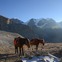憧れのネパール、ヒマラヤ山脈での乗馬
