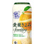 愛媛県産の柑橘「清見」果汁を使用した炭酸飲料、「愛媛きよみスパークリング」
