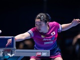 卓球日本女子、張本美和が王曼昱、早田ひなが孫穎莎と対戦へ　橋本帆乃香がサウスポーと激突　中国撃破で55年ぶり戴冠なるか【世界卓球2026】