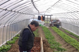 【食と農業を考える】冬から始める夏野菜のための温床作り