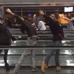 “待ち時間を持て余したバレエ団”が、空港で突然パフォーマンスを開始!?
