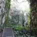 遊歩道が整備された山猪溝。壁面には植物の気根が広がる