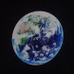 プラネタリウム内での地球の映像