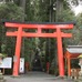 箱根神社の参道