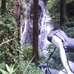 ルート途中の滝。自然との出会いもルート設定に考えてみてわ？