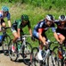 ツール・ド・フランス第11ステージ。各チームのアタック合戦が一段落したときの新城幸也