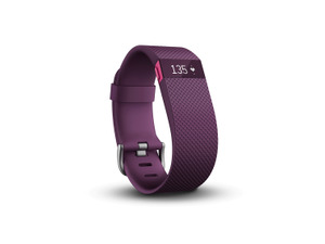 フィットビット、大人の体力測定で体力づくりの大切さをアピール 画像