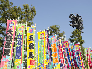 白鵬と琴奨菊、無敗を守る…大相撲九州場所 画像