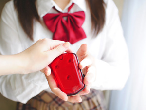 防犯ブザー付テールライト「お知らせテントウくん」…クラウドファンディングで支援募集 画像