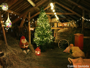 サンタクロースを撮り続ける写真家・角田明子の写真展…東京と大阪で開催 画像