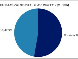 正月太り、5割以上が実感…正月太りとダイエットに関する調査 画像